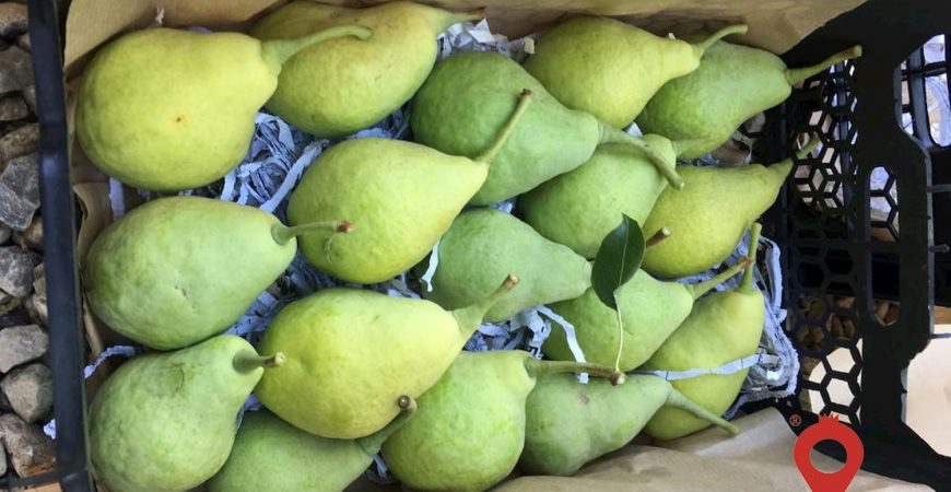 گلابی شاه میوه دماوند