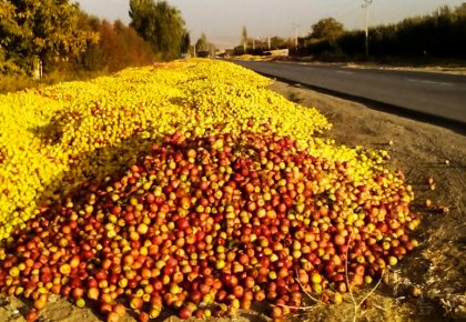 خلاقیت علیه ضایعات