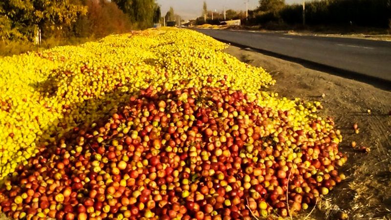 خلاقیت علیه ضایعات