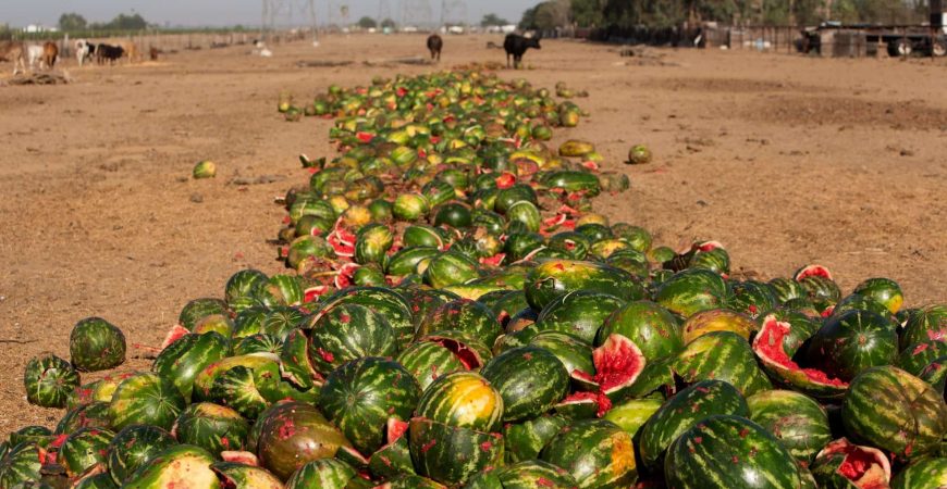 ضایعات کشاورزی