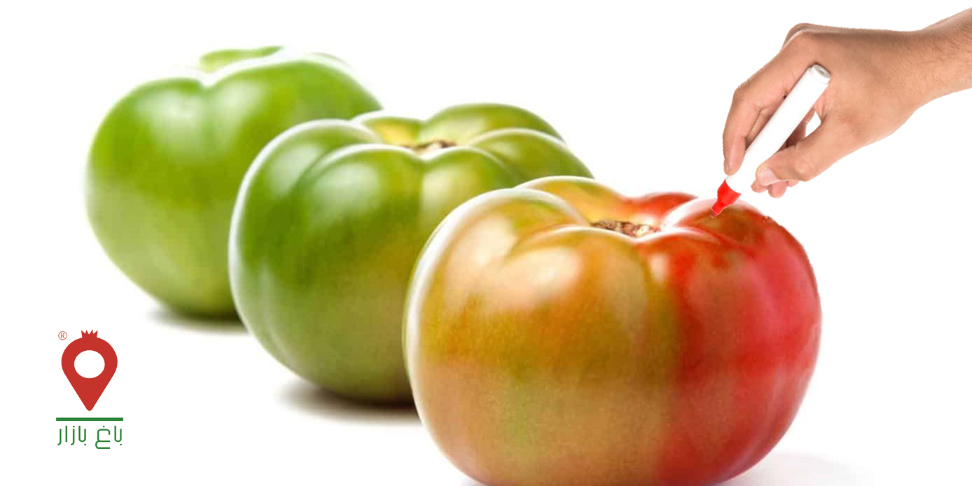 تقلب در مواد غذایی