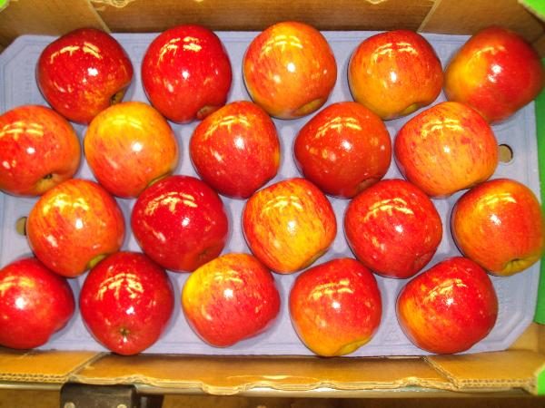 واکس میوه ها