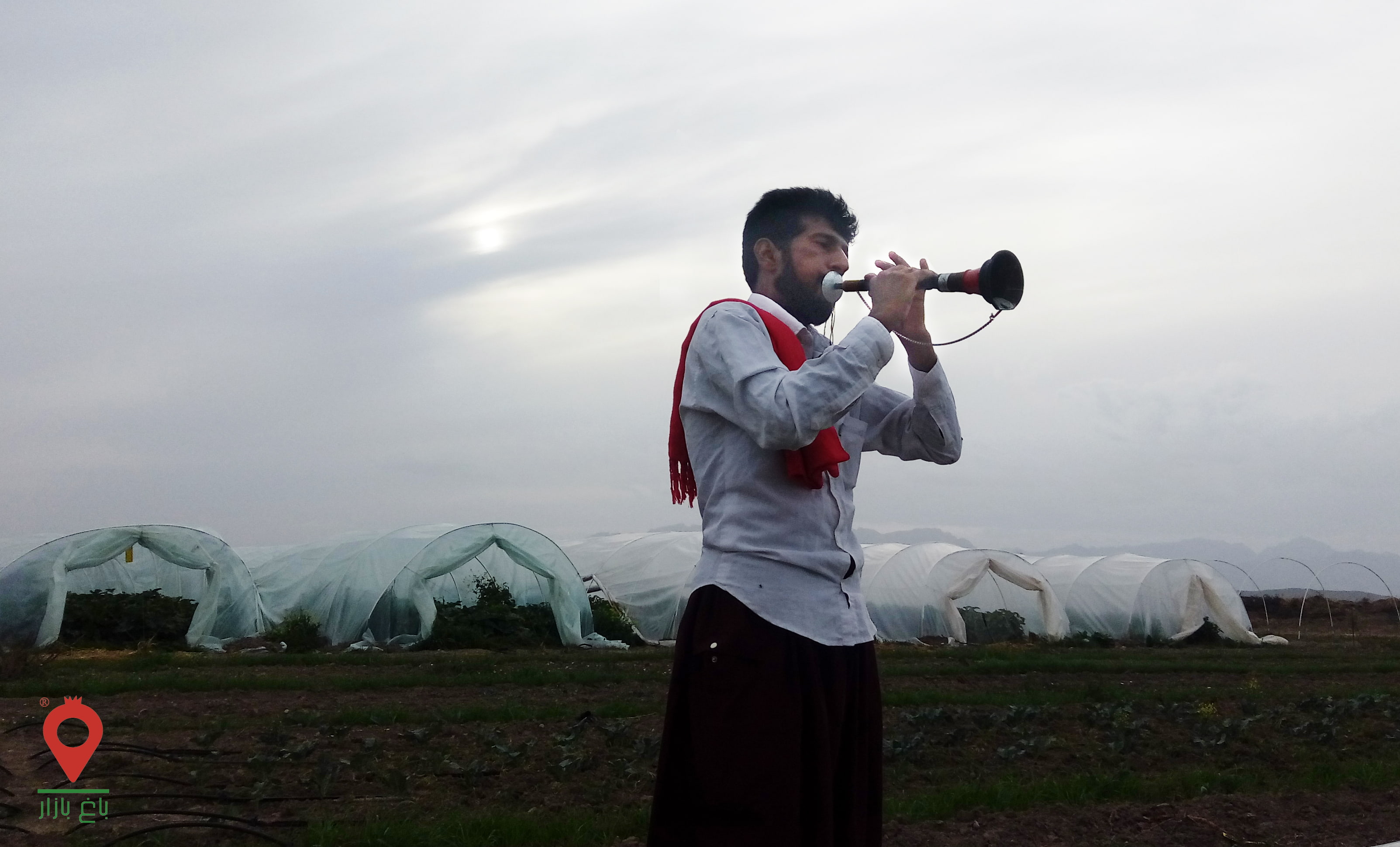 قحطی زیر بافه