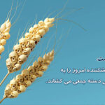 هشدار اکونومیست درباره کمبود شدید مواد غذایی در جهان