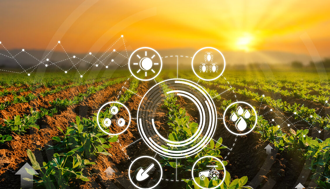 کشاورزی احیاکننده، چالشی امید بخش