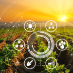 کشاورزی احیاکننده، چالشی امید بخش