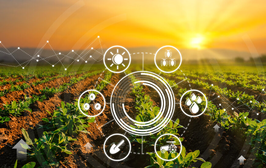 کشاورزی احیاکننده، چالشی امید بخش