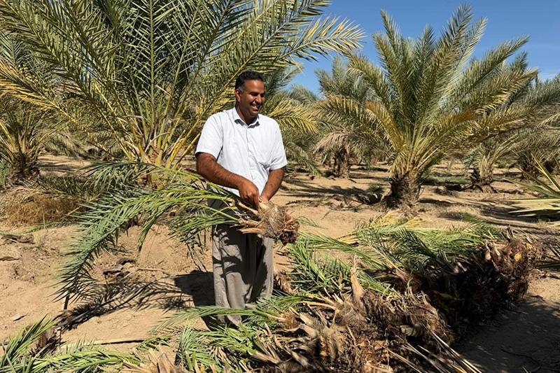 باغ بازار، پلی به سوی کشاورزی پایدار ایرانی و حمایت از خانواده‌های بومی