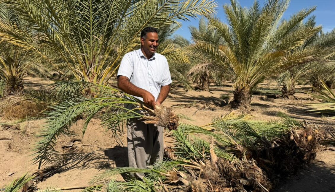 باغ بازار، پلی به سوی کشاورزی پایدار ایرانی و حمایت از خانوادههای بومی