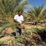 باغ بازار، پلی به سوی کشاورزی پایدار ایرانی و حمایت از خانواده‌های بومی