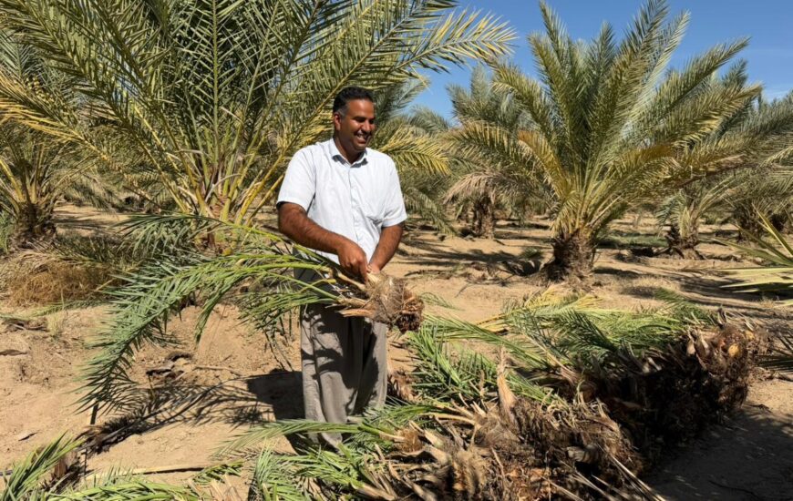 باغ بازار، پلی به سوی کشاورزی پایدار ایرانی و حمایت از خانواده‌های بومی